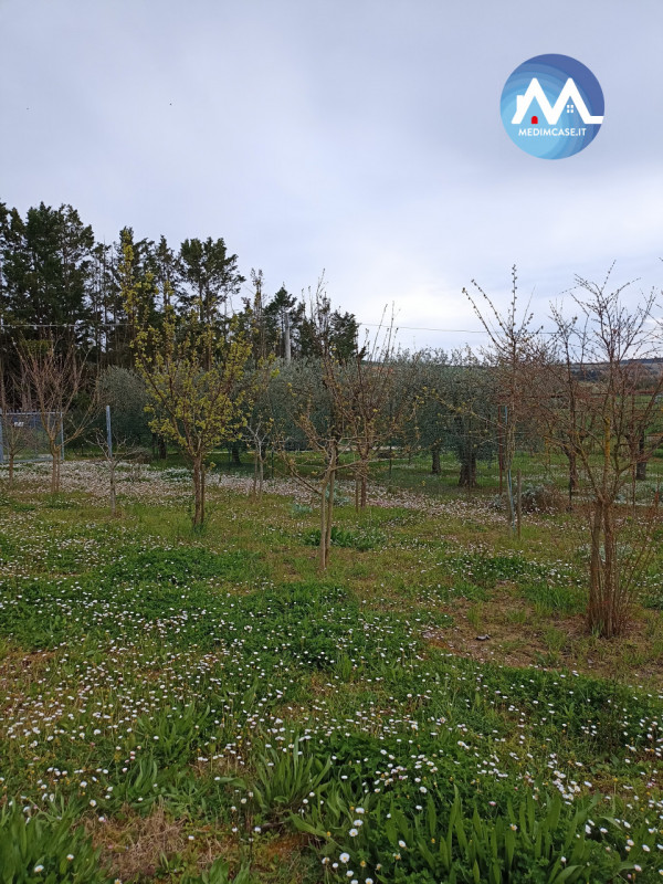 immagine annuncio 5 di 7