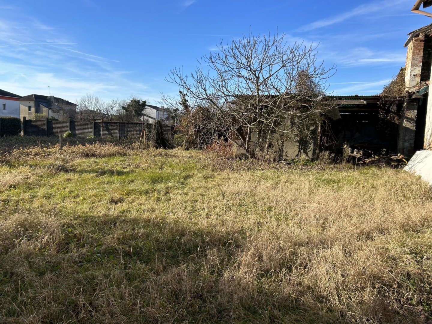 immagine annuncio 2 di 6