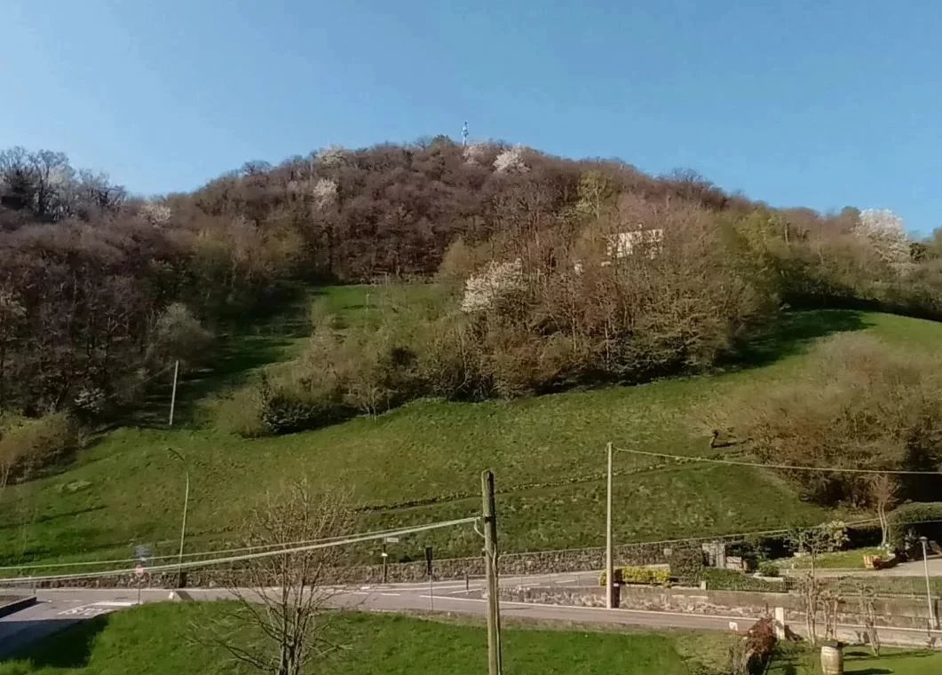 immagine annuncio 1 di 10