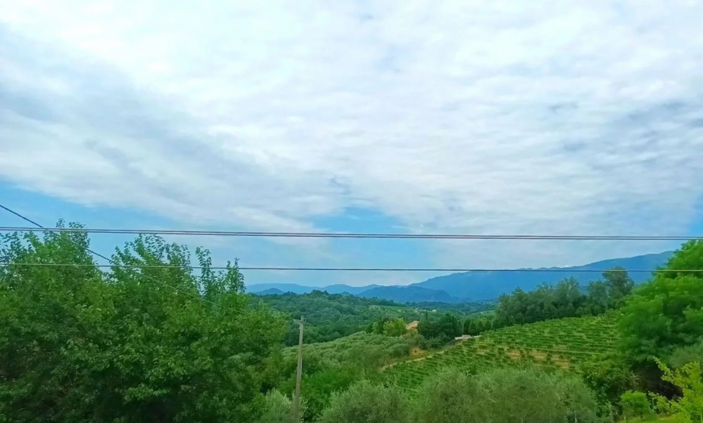 immagine annuncio 5 di 9