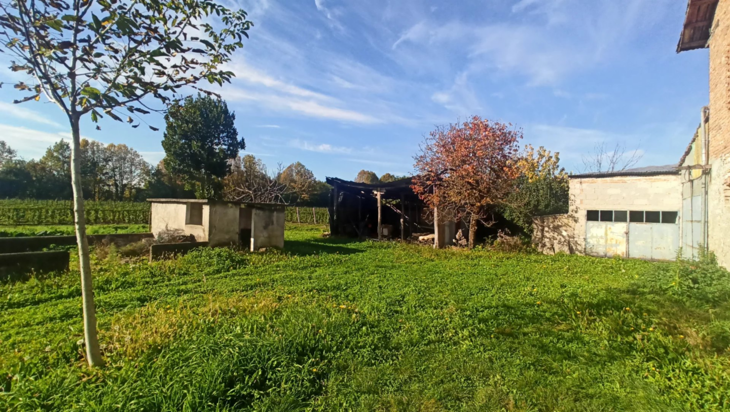 immagine annuncio 6 di 10