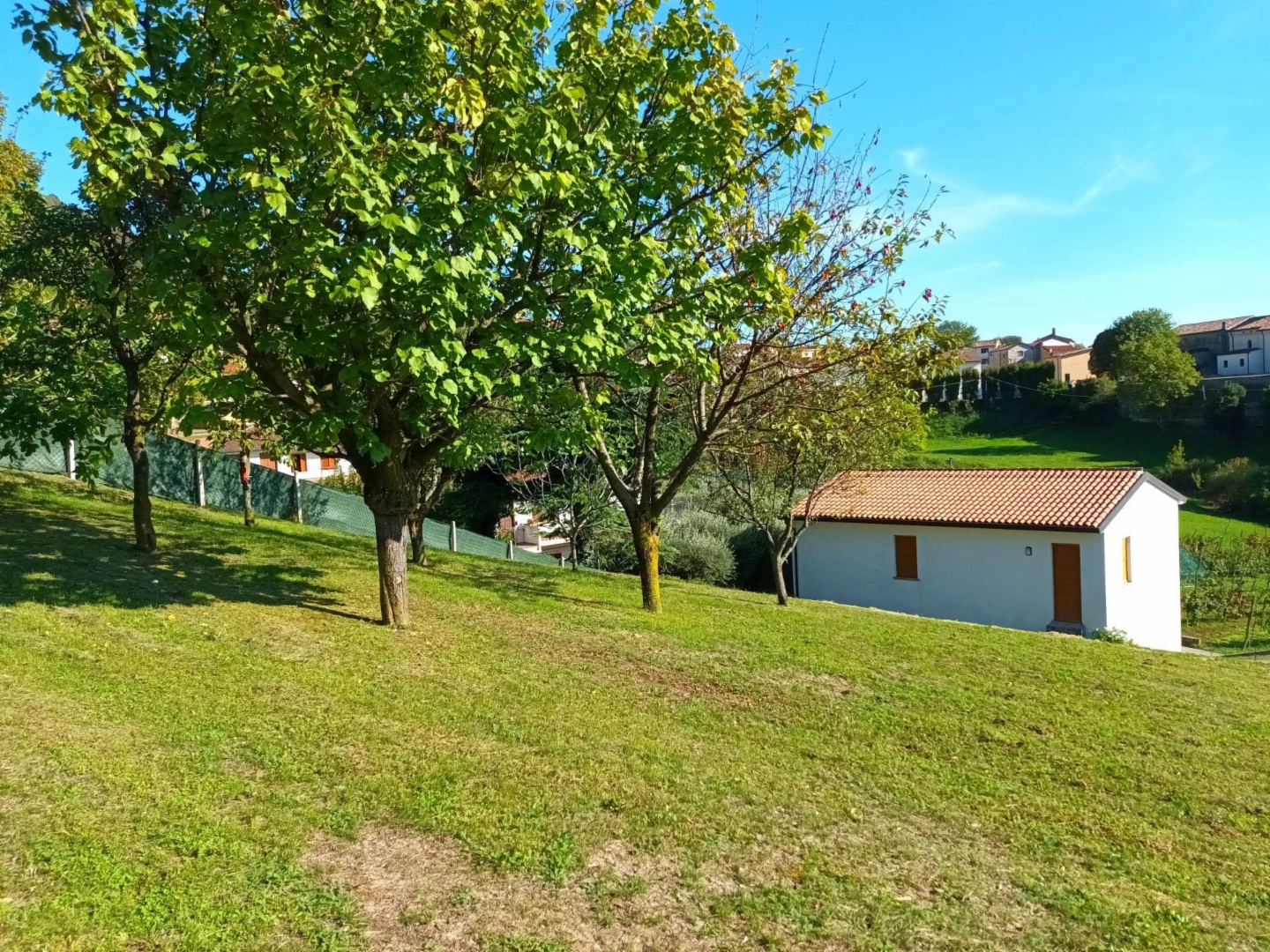 immagine annuncio 5 di 10