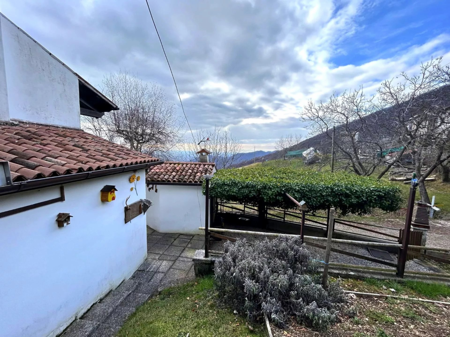 immagine annuncio 2 di 10