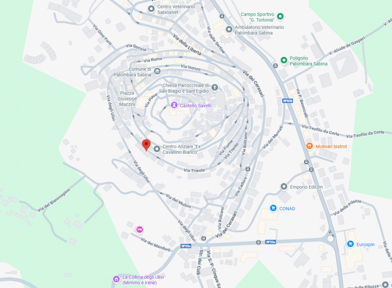 immagine annuncio 7 di 10