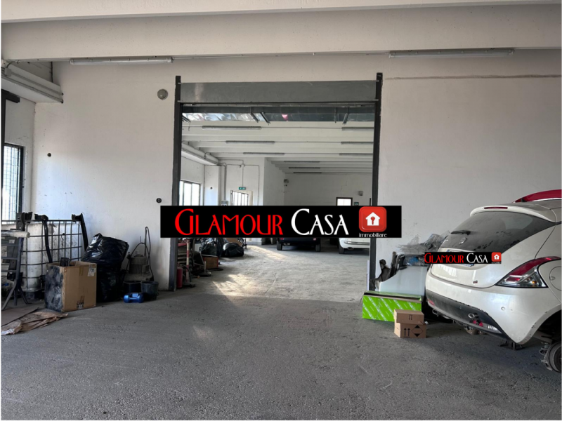 immagine annuncio 3 di 10