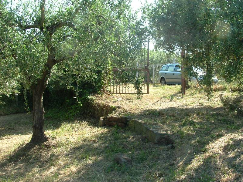 immagine annuncio 5 di 6