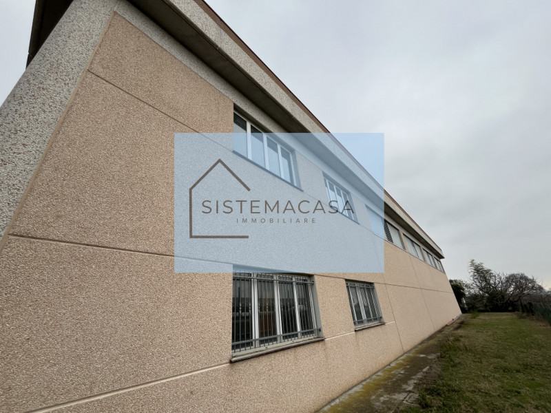 immagine annuncio 1 di 7