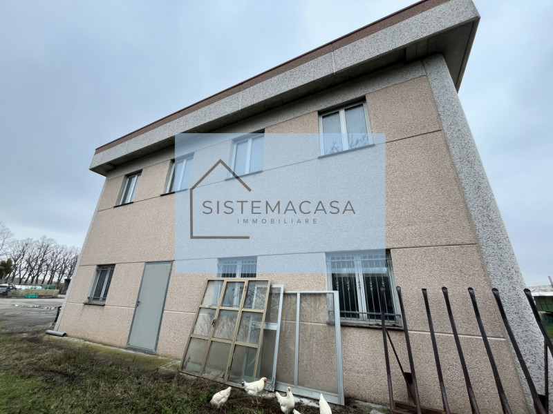 immagine annuncio 2 di 7