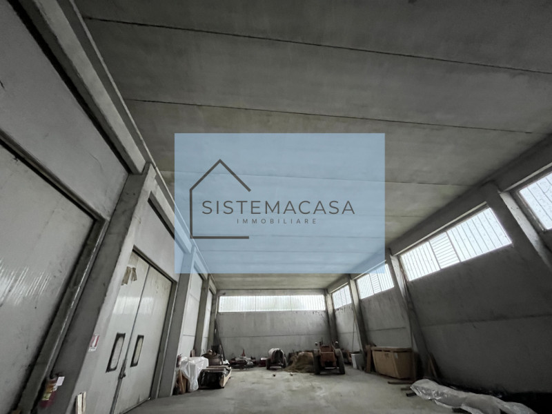 immagine annuncio 3 di 7