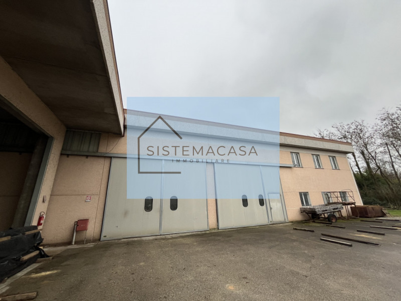 immagine annuncio 6 di 7