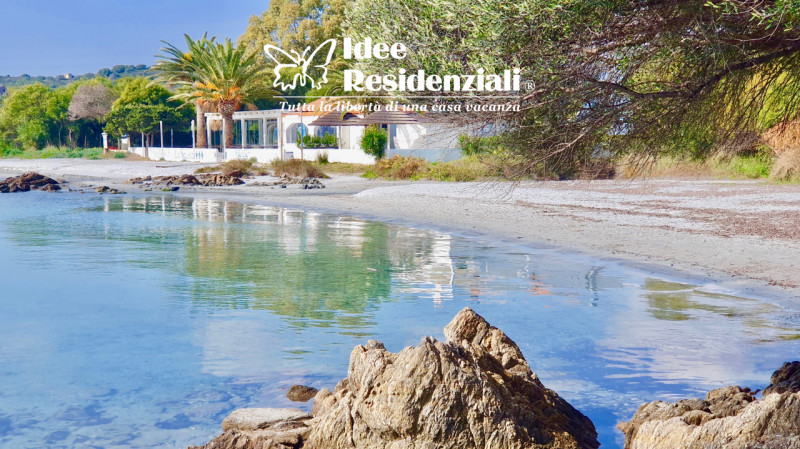 immagine annuncio 4 di 6