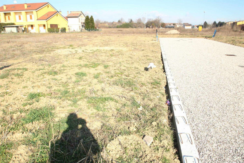 immagine annuncio 5 di 6