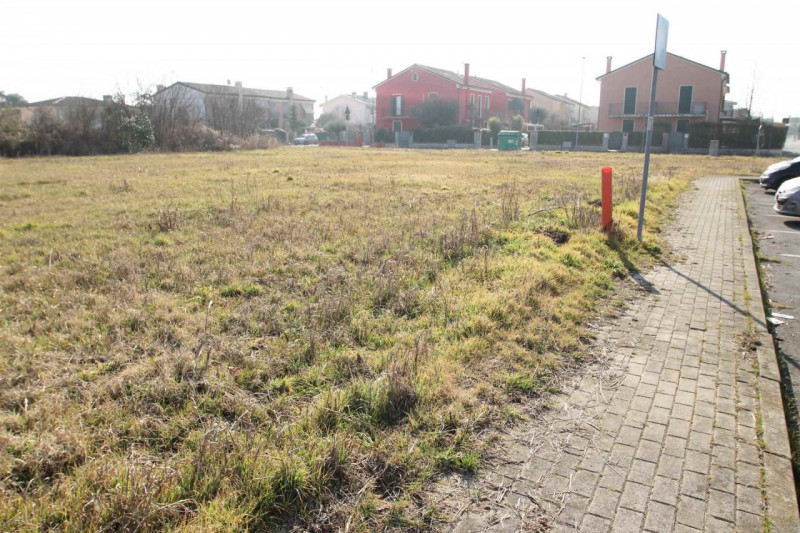 immagine annuncio 1 di 6