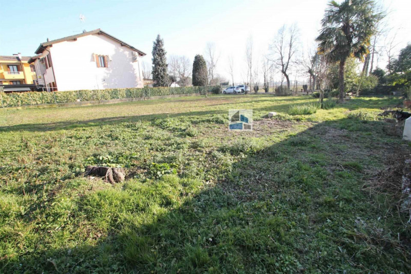 immagine annuncio 4 di 6