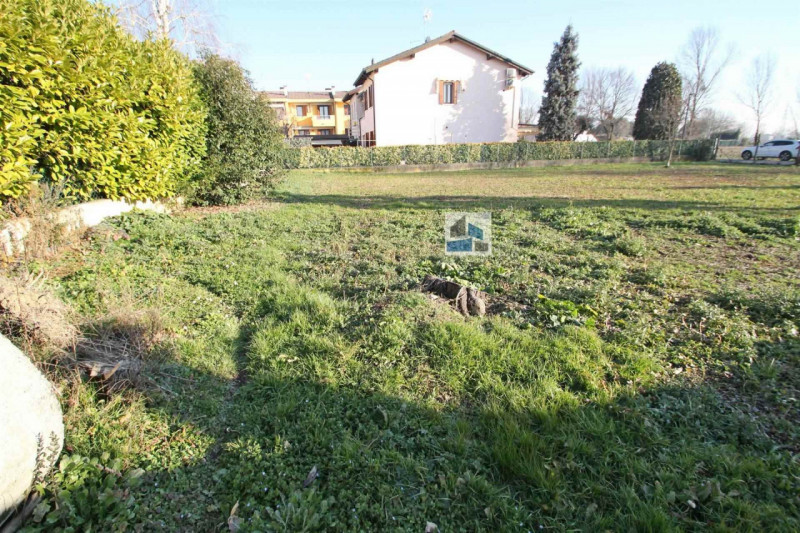 immagine annuncio 2 di 6