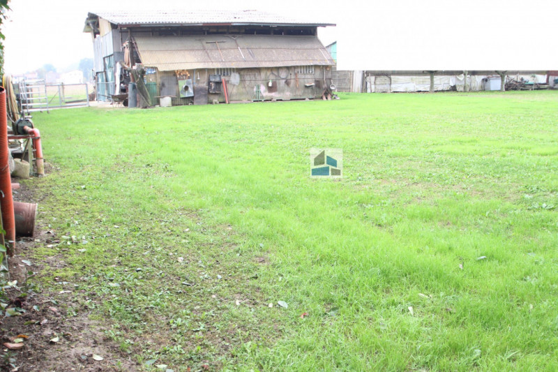 immagine annuncio 4 di 6