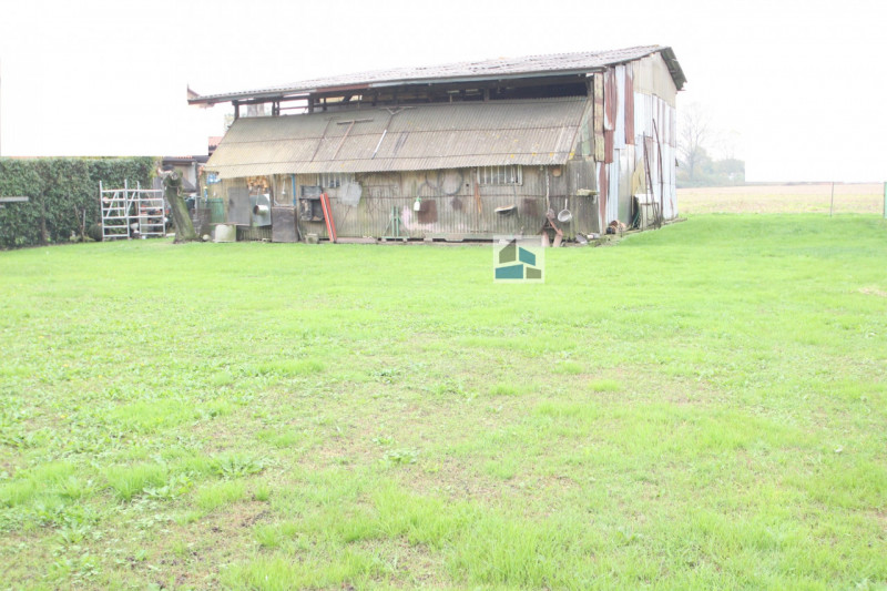 immagine annuncio 2 di 6