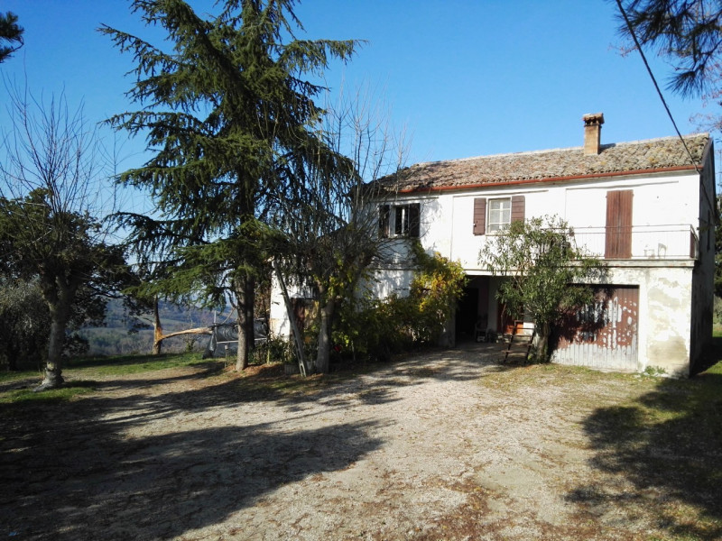 immagine annuncio 2 di 4