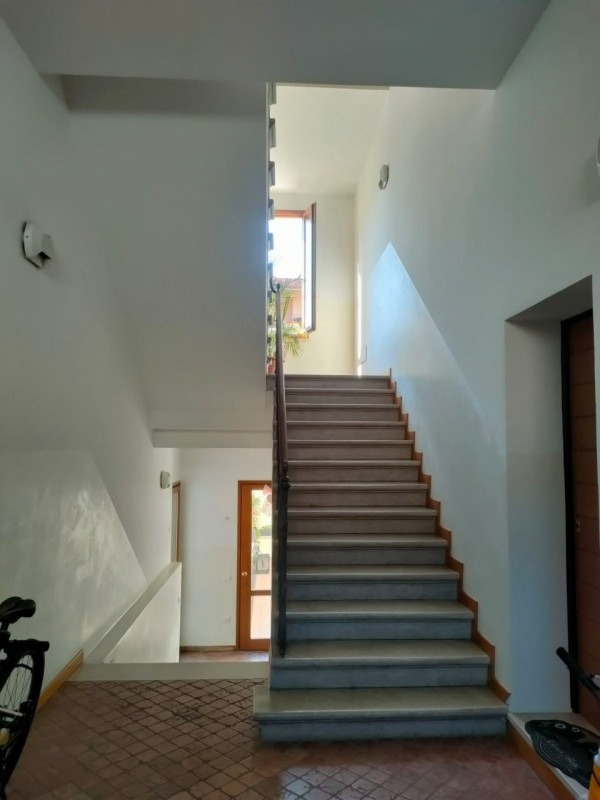 immagine annuncio 3 di 6