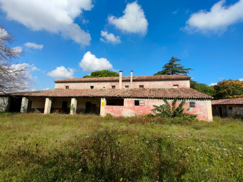 immagine annuncio 1 di 4