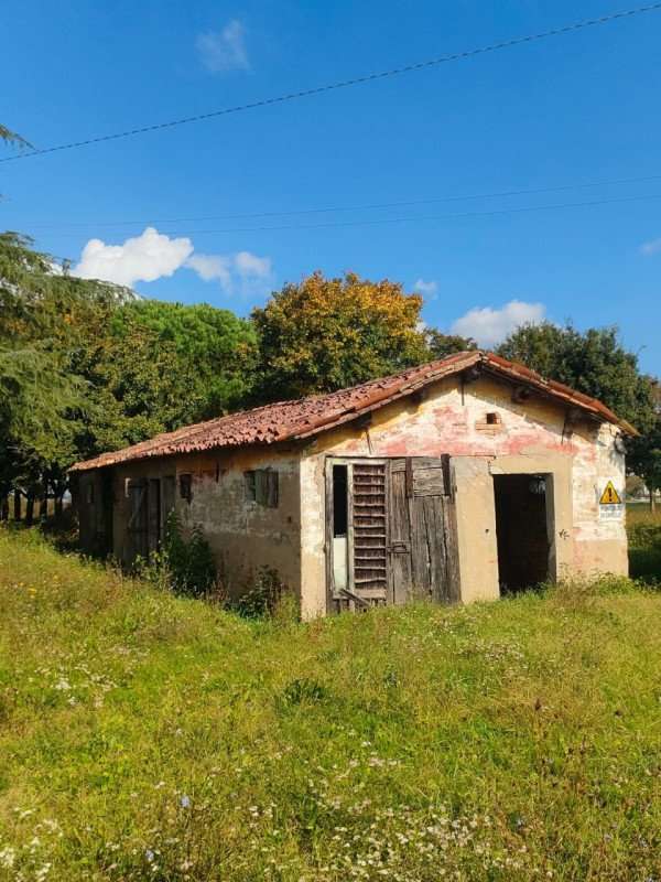 immagine annuncio 2 di 4