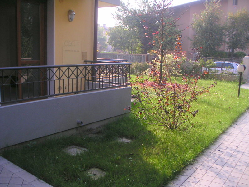 immagine annuncio 3 di 7