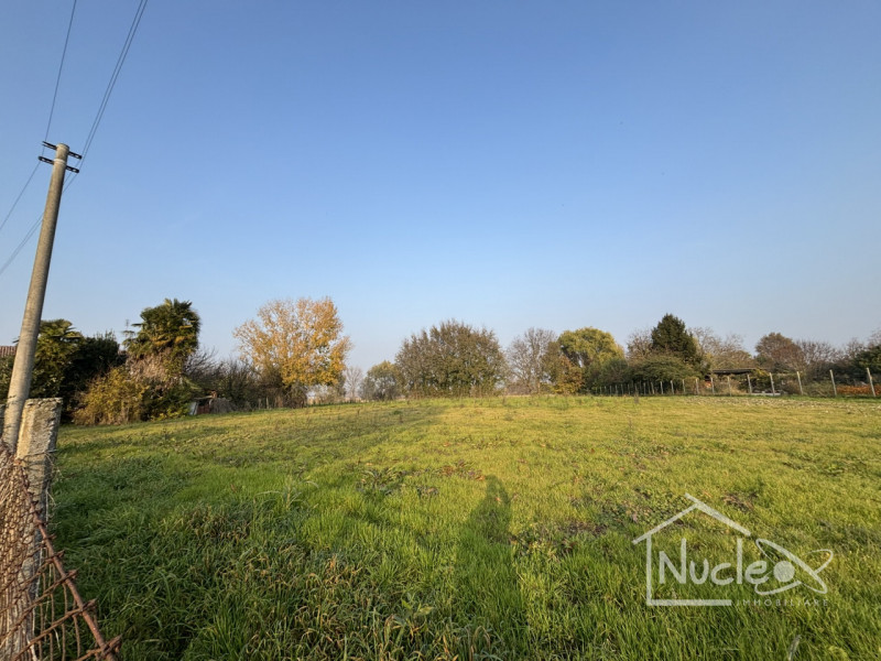 immagine annuncio 2 di 7