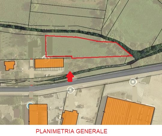 immagine annuncio 8 di 9