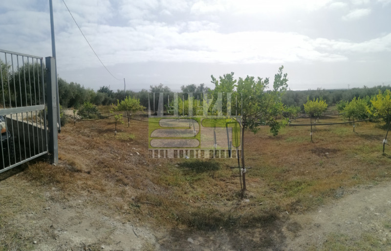 immagine annuncio 4 di 9