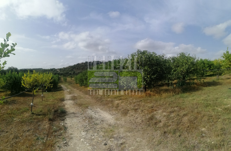 immagine annuncio 5 di 9