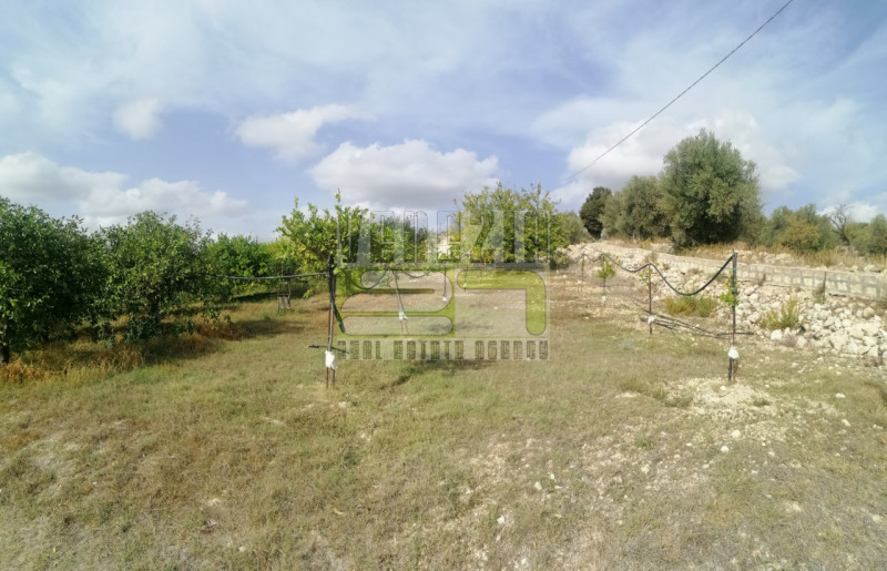 immagine annuncio 6 di 9