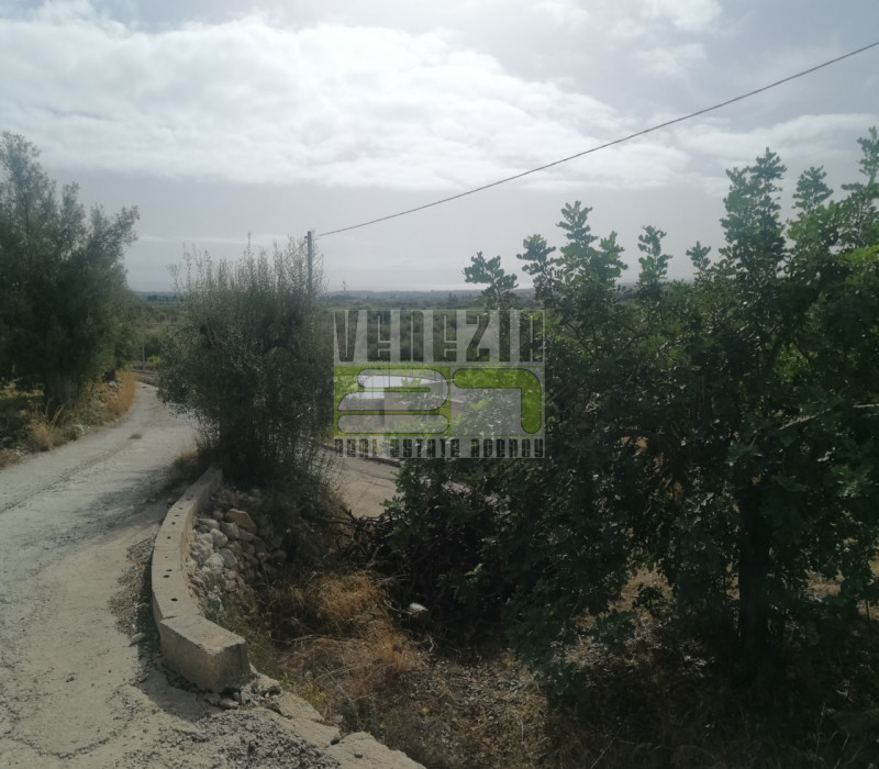 immagine annuncio 8 di 9