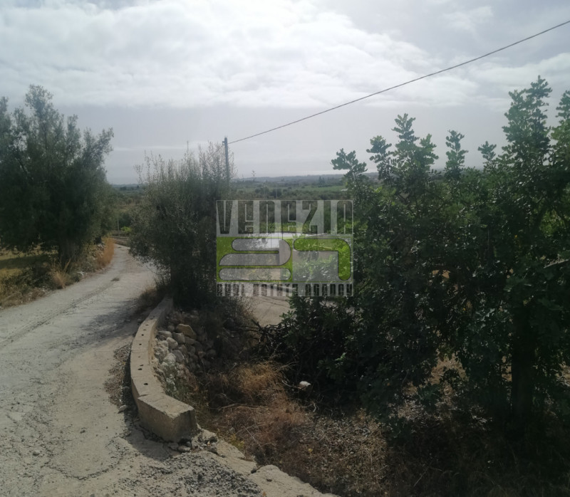 immagine annuncio 7 di 9