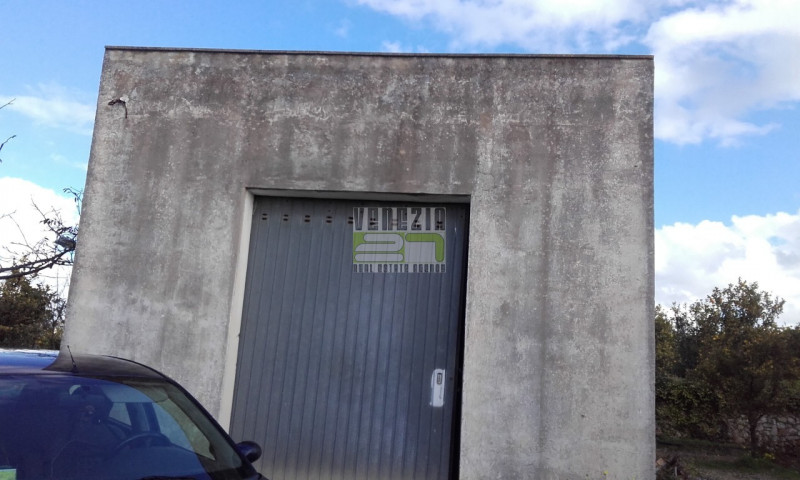 immagine annuncio 1 di 7