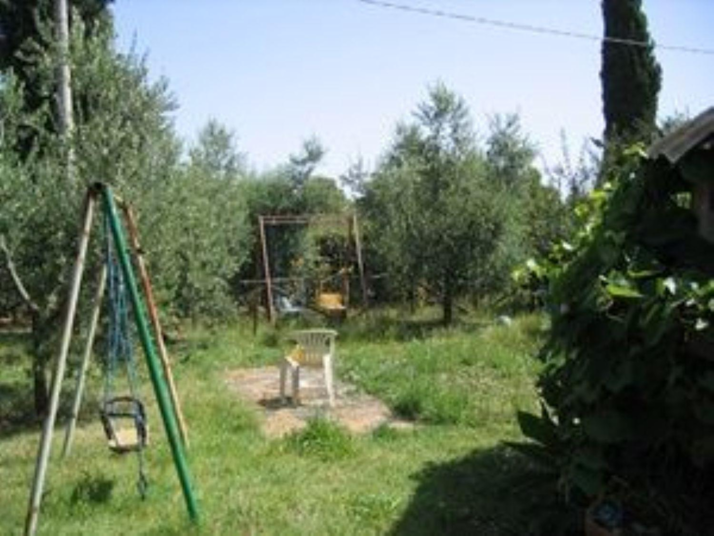 immagine annuncio 1 di 6