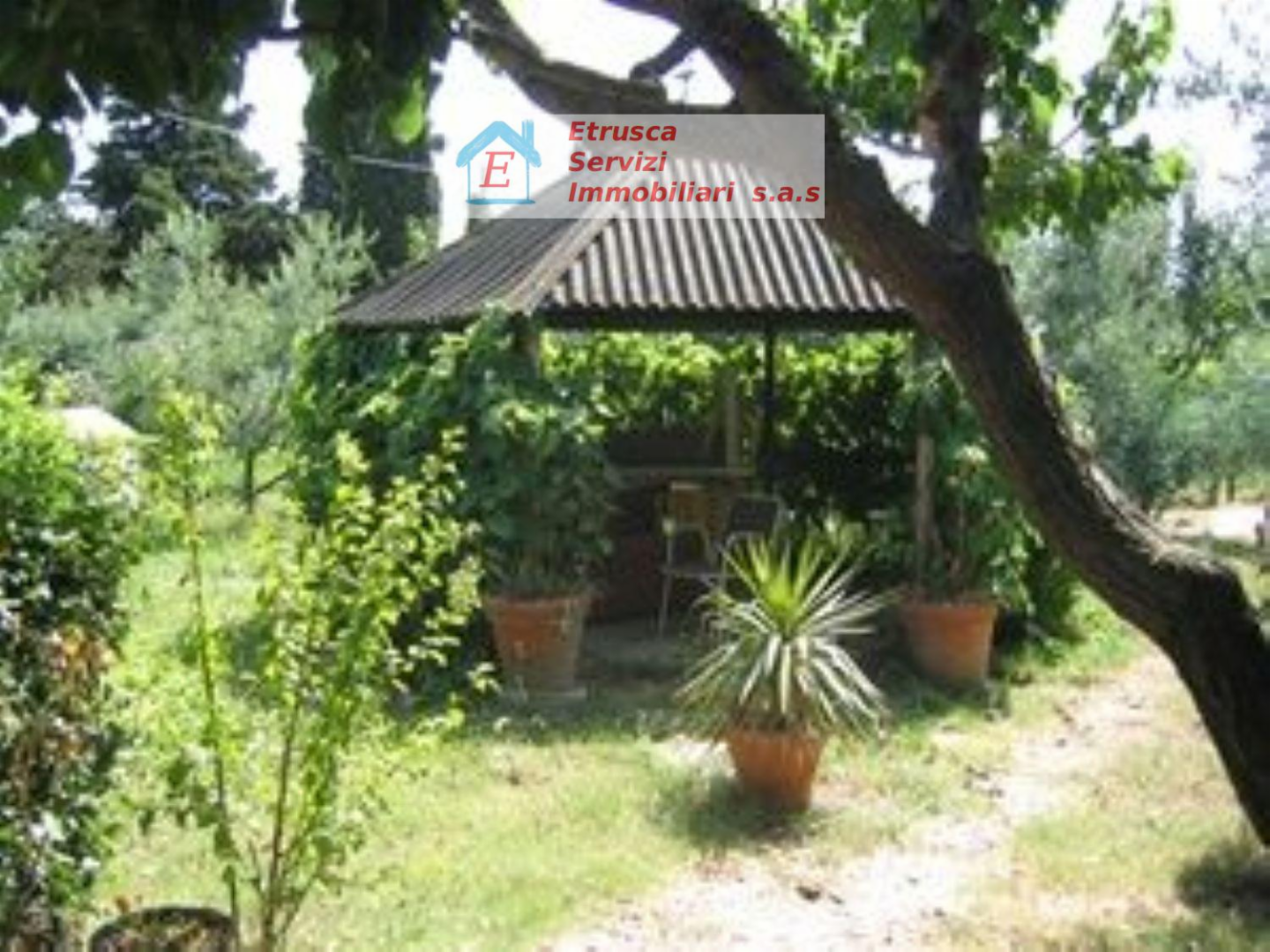 immagine annuncio 3 di 6