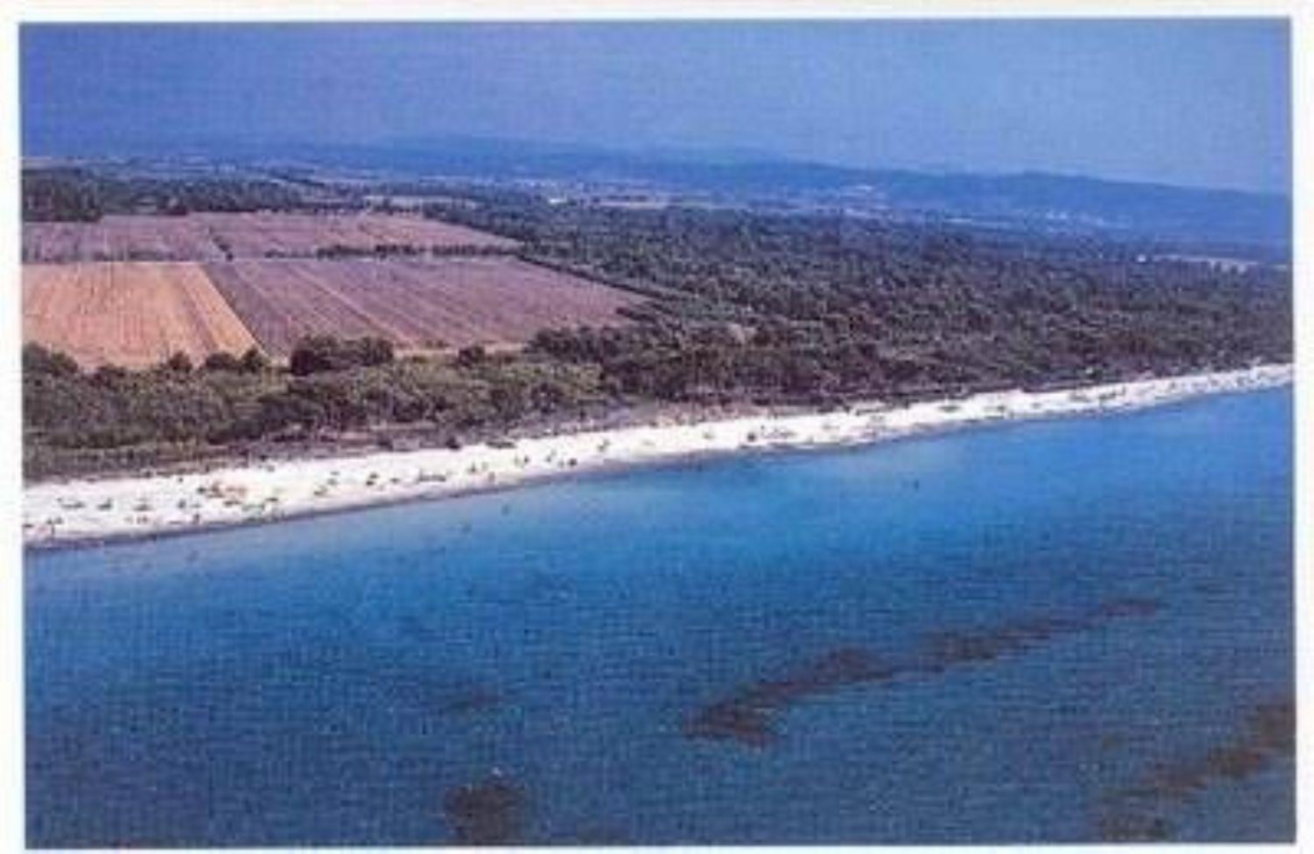immagine annuncio 8 di 10
