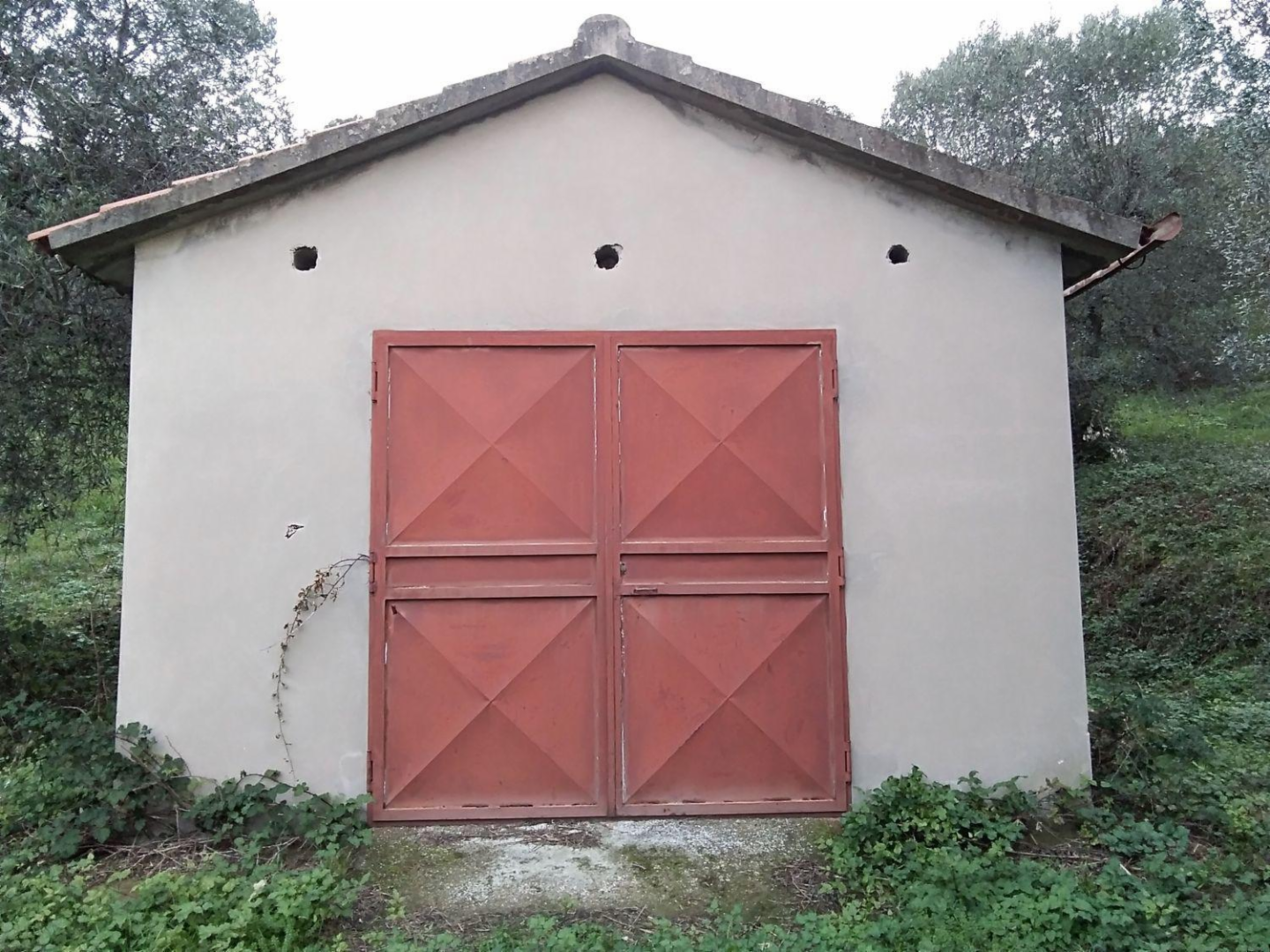 immagine annuncio 2 di 10