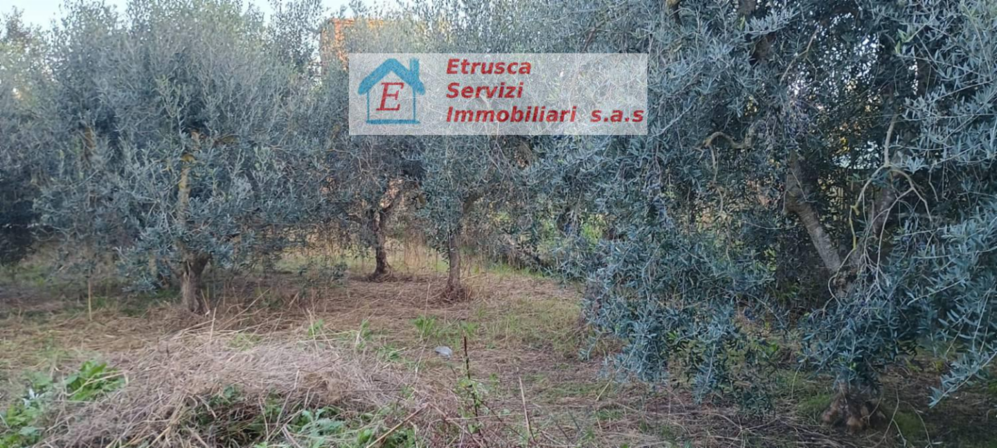 immagine annuncio 1 di 7