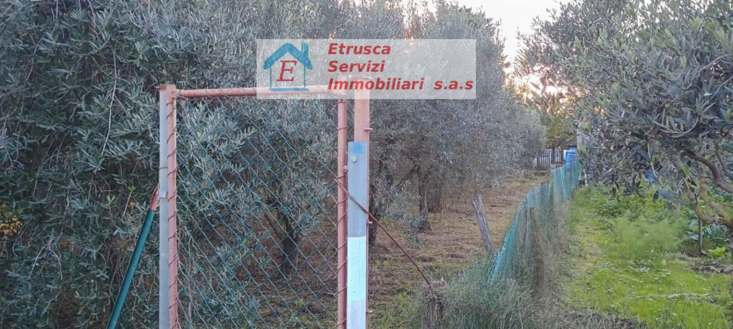 immagine annuncio 2 di 7