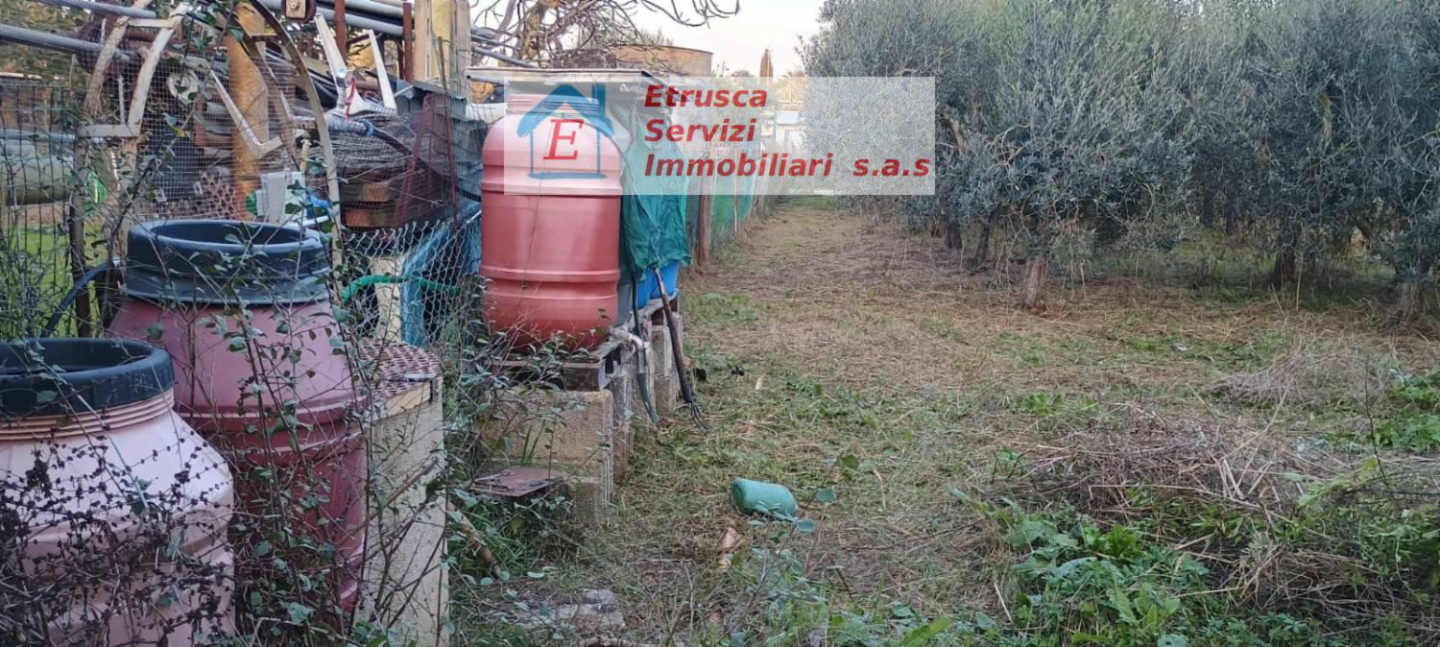 immagine annuncio 4 di 7