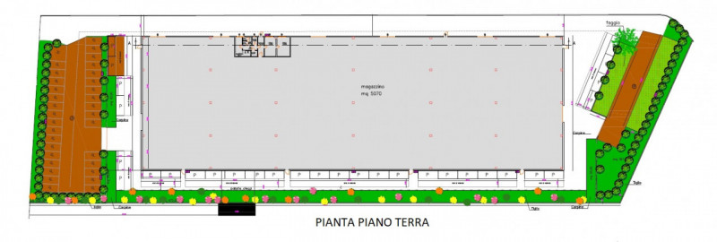 immagine annuncio 5 di 10