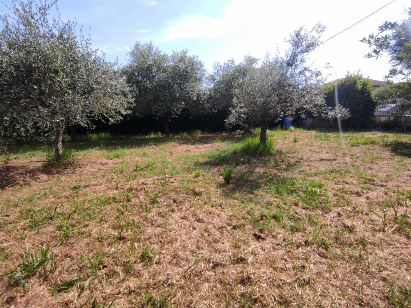 immagine annuncio 6 di 7