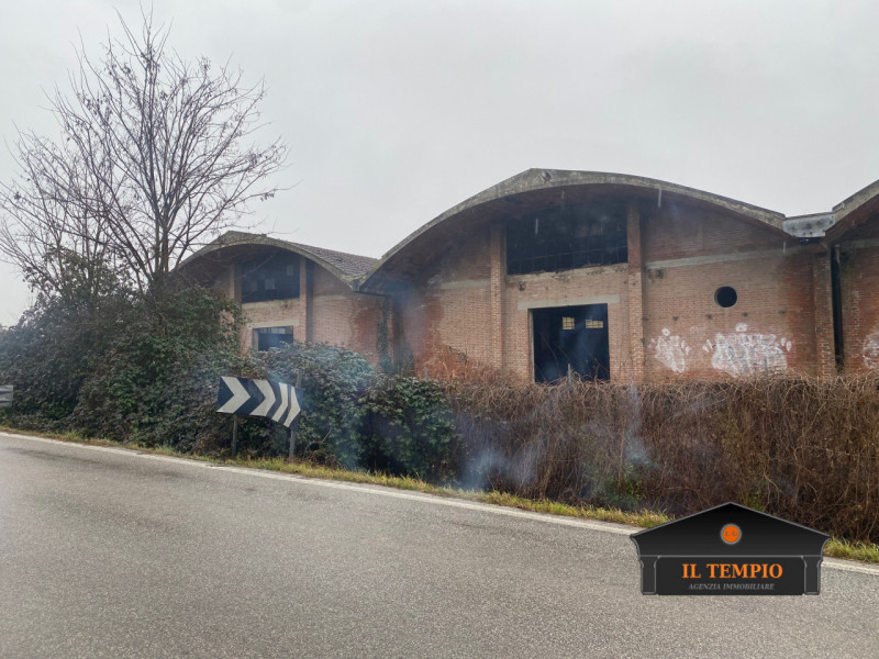 immagine annuncio 2 di 9