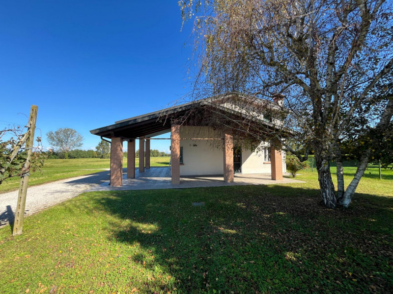 immagine annuncio 5 di 9