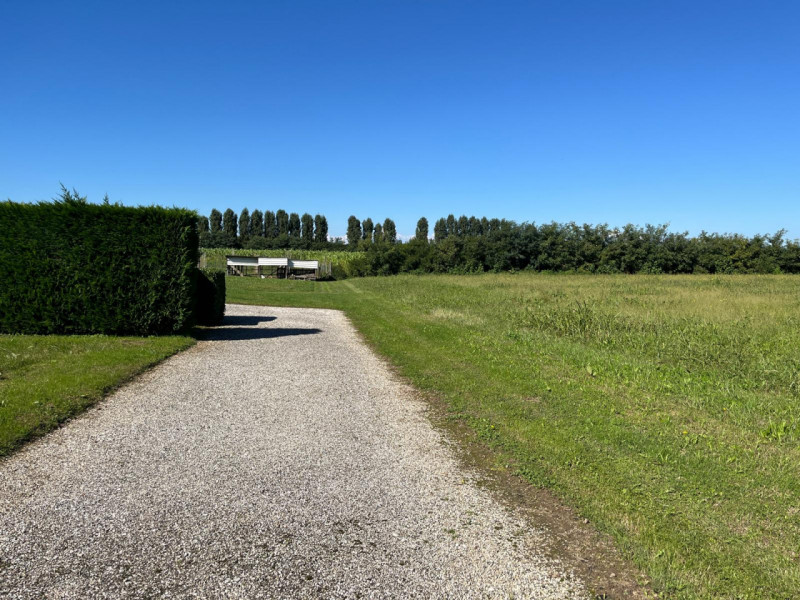 immagine annuncio 6 di 9