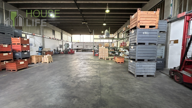 immagine annuncio 5 di 10