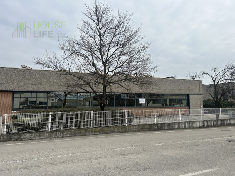 immagine annuncio 3 di 10