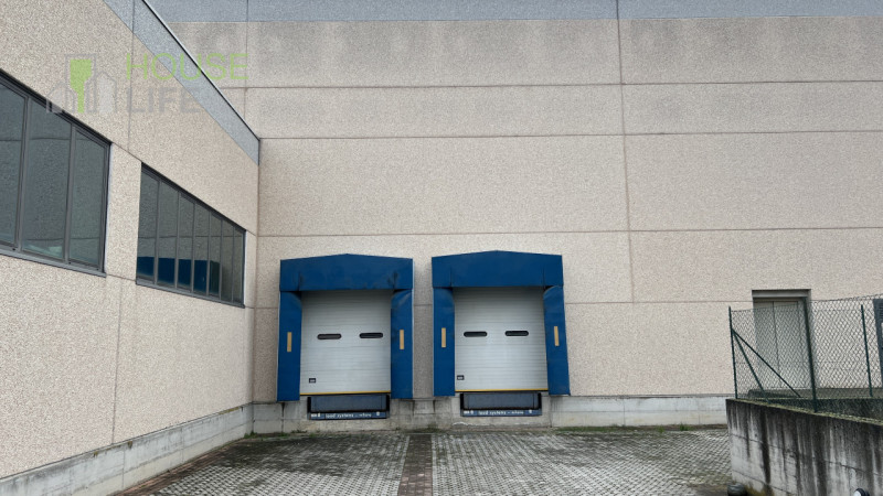 immagine annuncio 9 di 10