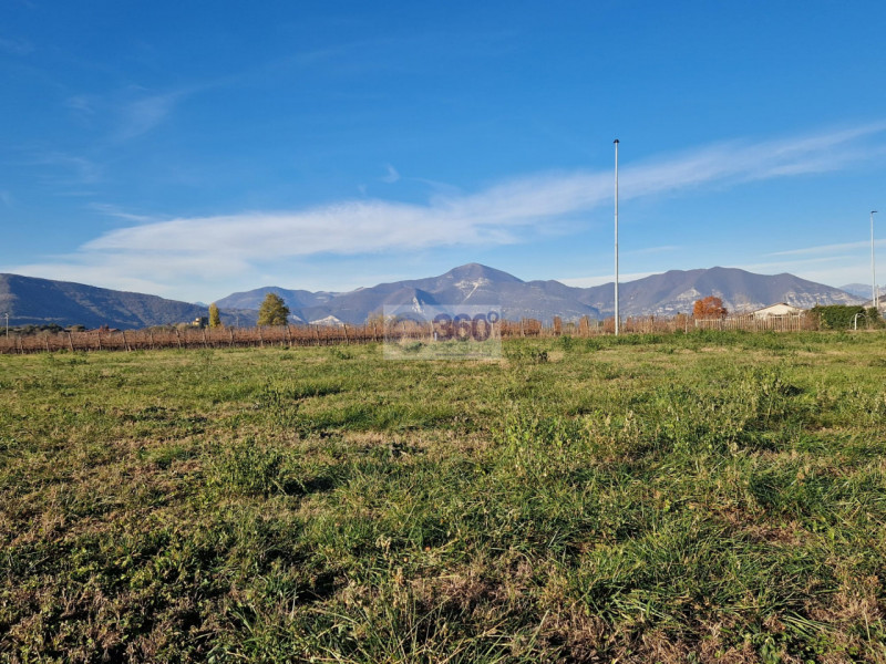 immagine annuncio 2 di 6